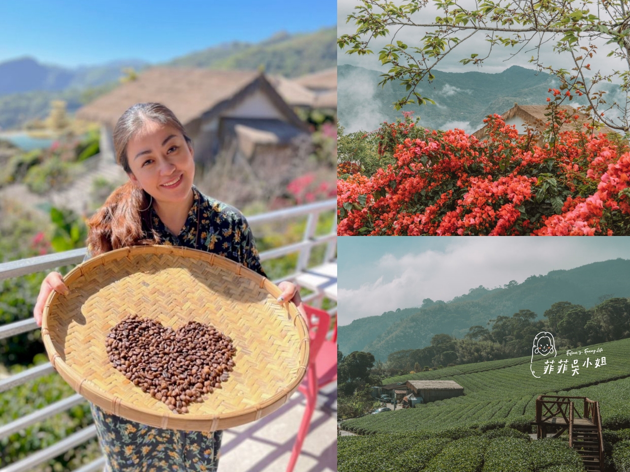 嘉義梅山，青葉山莊一日遊，現烘咖啡豆DIY、享用在地食材梅妃風味餐 @菲菲吳小姐