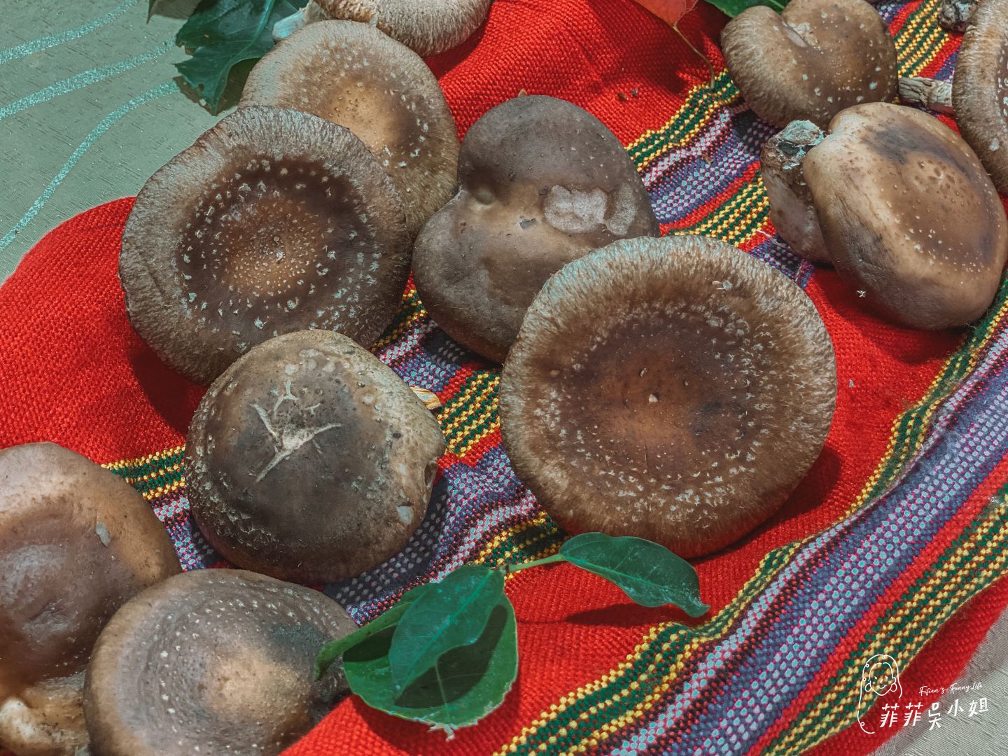宜蘭野山菇，南澳香菇野餐節，特色市集、種植香菇體驗、野餐活動、來一場泰雅族深度文化體驗吧！ @菲菲吳小姐