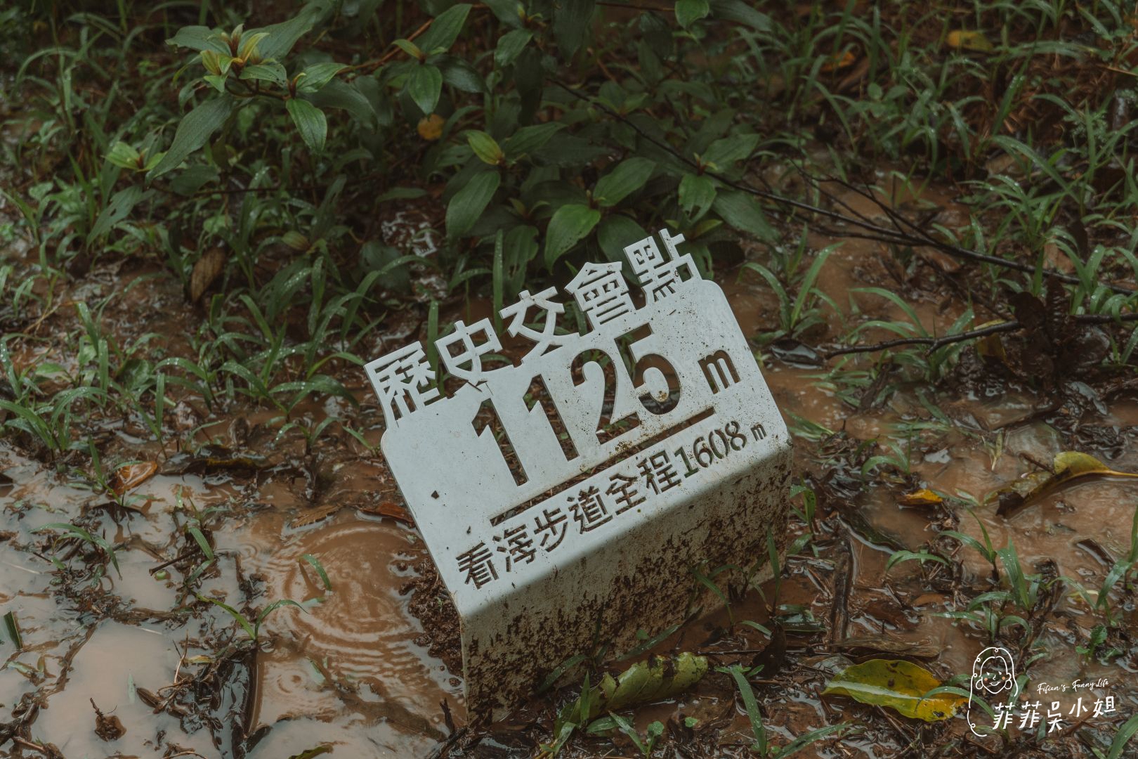 漫遊山海線-貢寮祕境玩透透，走讀古道、體驗雞母嶺在地生活、落羽松美景、魚行驛站望高去 @菲菲吳小姐