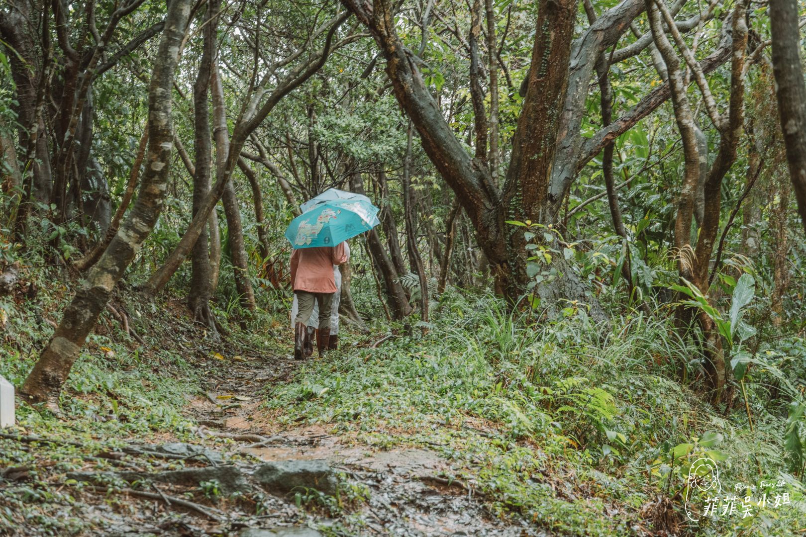 漫遊山海線-貢寮祕境玩透透，走讀古道、體驗雞母嶺在地生活、落羽松美景、魚行驛站望高去 @菲菲吳小姐