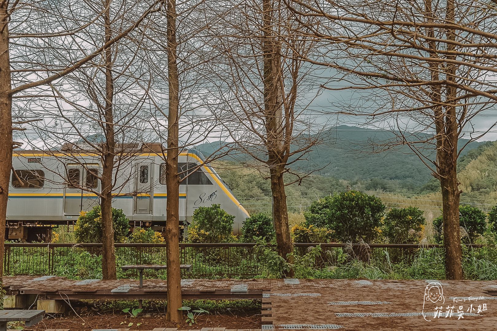 漫遊山海線-貢寮祕境玩透透，走讀古道、體驗雞母嶺在地生活、落羽松美景、魚行驛站望高去 @菲菲吳小姐