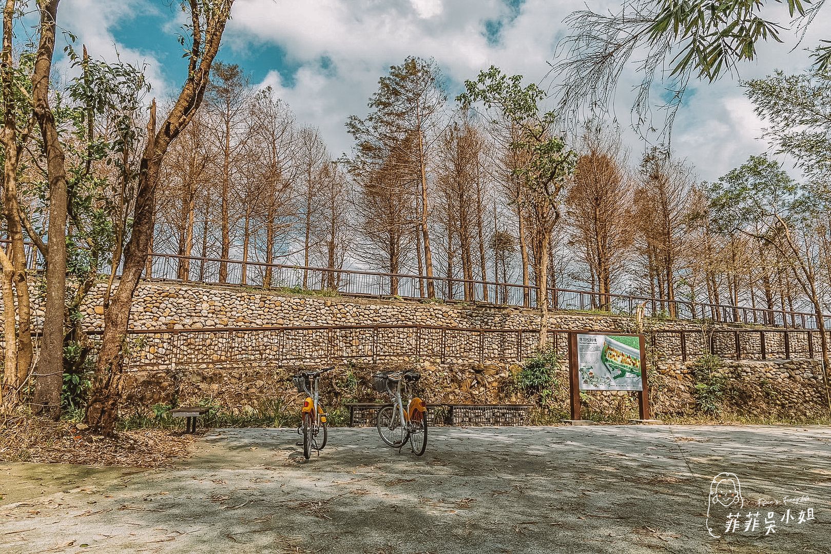 漫遊山海線-貢寮祕境玩透透，走讀古道、體驗雞母嶺在地生活、落羽松美景、魚行驛站望高去 @菲菲吳小姐