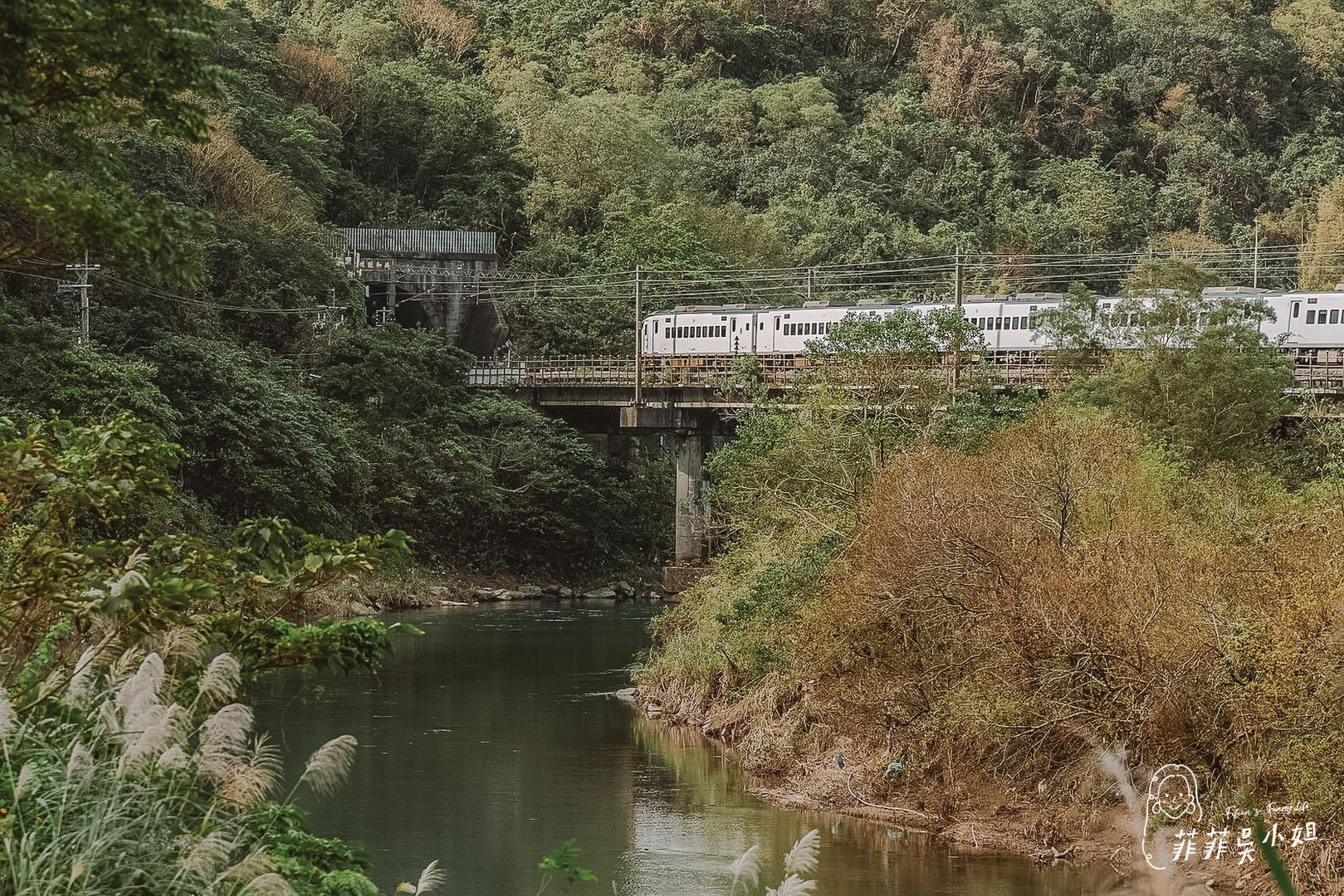 漫遊山海線-貢寮祕境玩透透，走讀古道、體驗雞母嶺在地生活、落羽松美景、魚行驛站望高去 @菲菲吳小姐