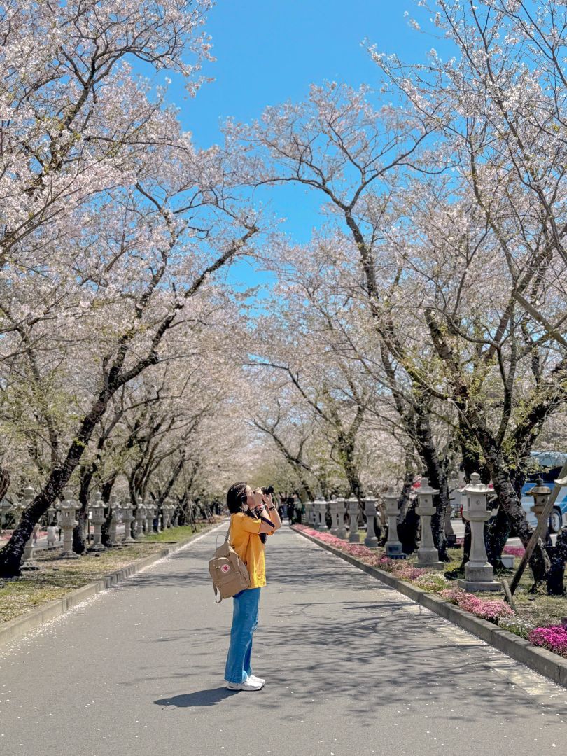 知覽武家屋敷，鹿兒島景點，7大庭園特色一次看懂 @菲菲吳小姐