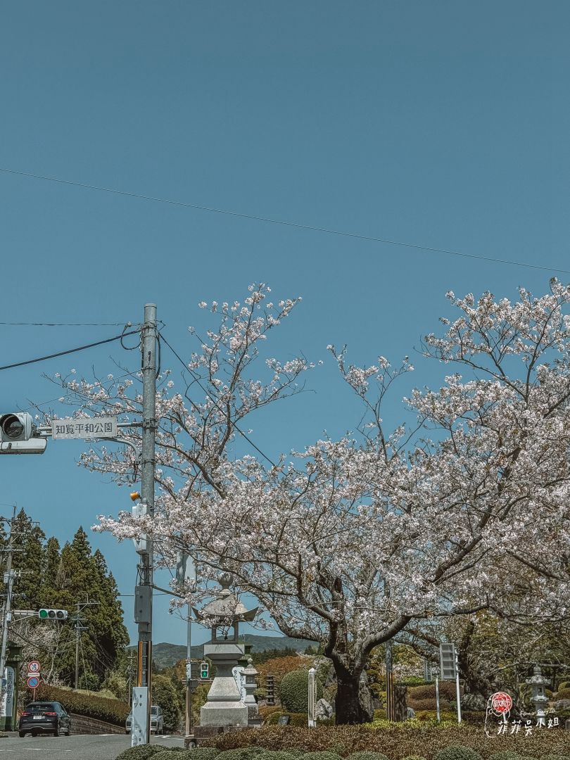 知覽武家屋敷，鹿兒島景點，7大庭園特色一次看懂 @菲菲吳小姐