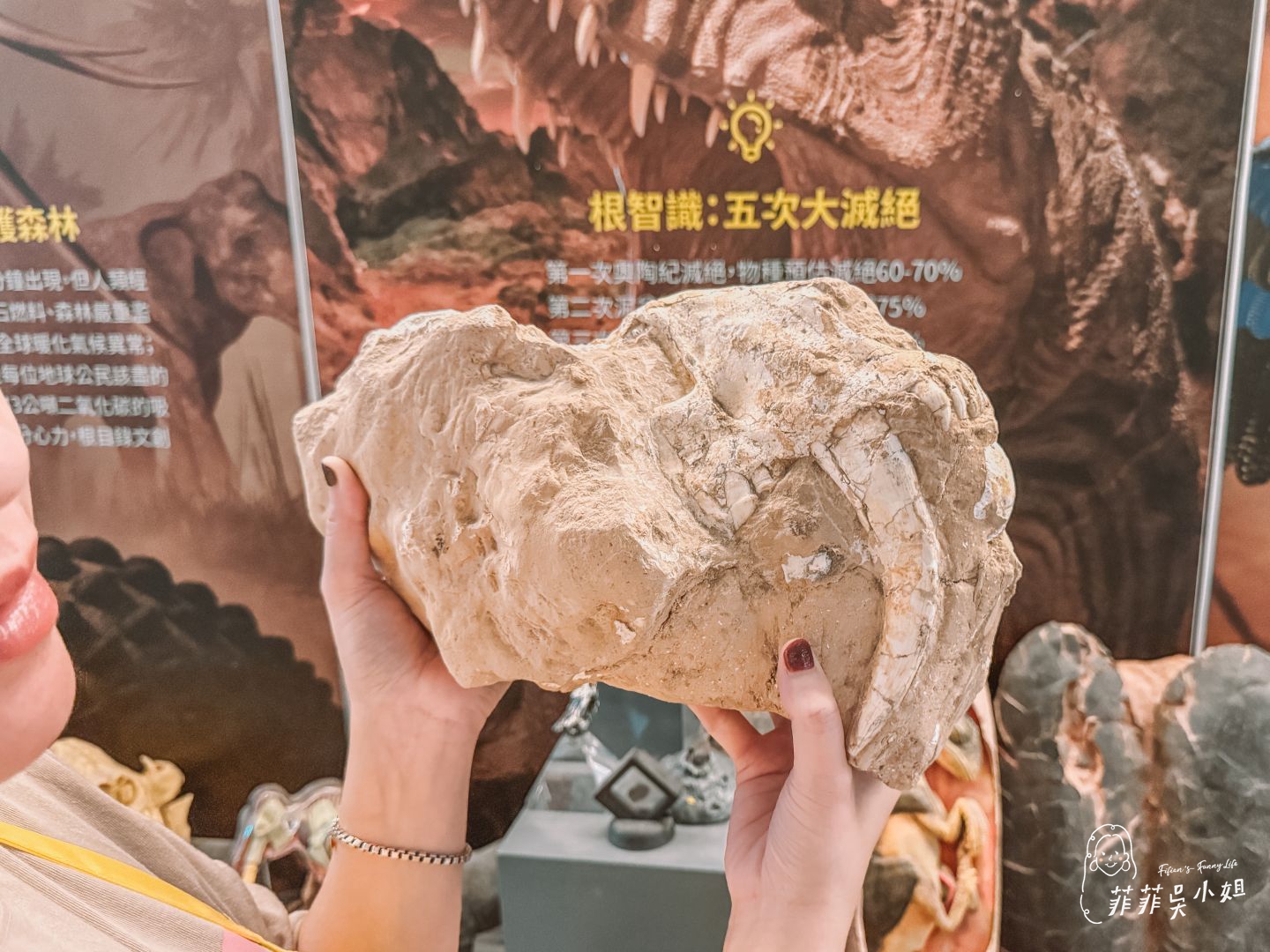 大板根森林溫泉酒店，全新觀景溫泉家庭套房， 恐龍迷必訪！ @菲菲吳小姐