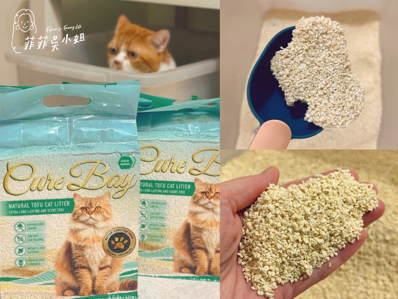 美國 Assin Anneil 安心豆腐砂，低粉塵高凝結力，貓砂寄倉服務一次到位 @菲菲吳小姐