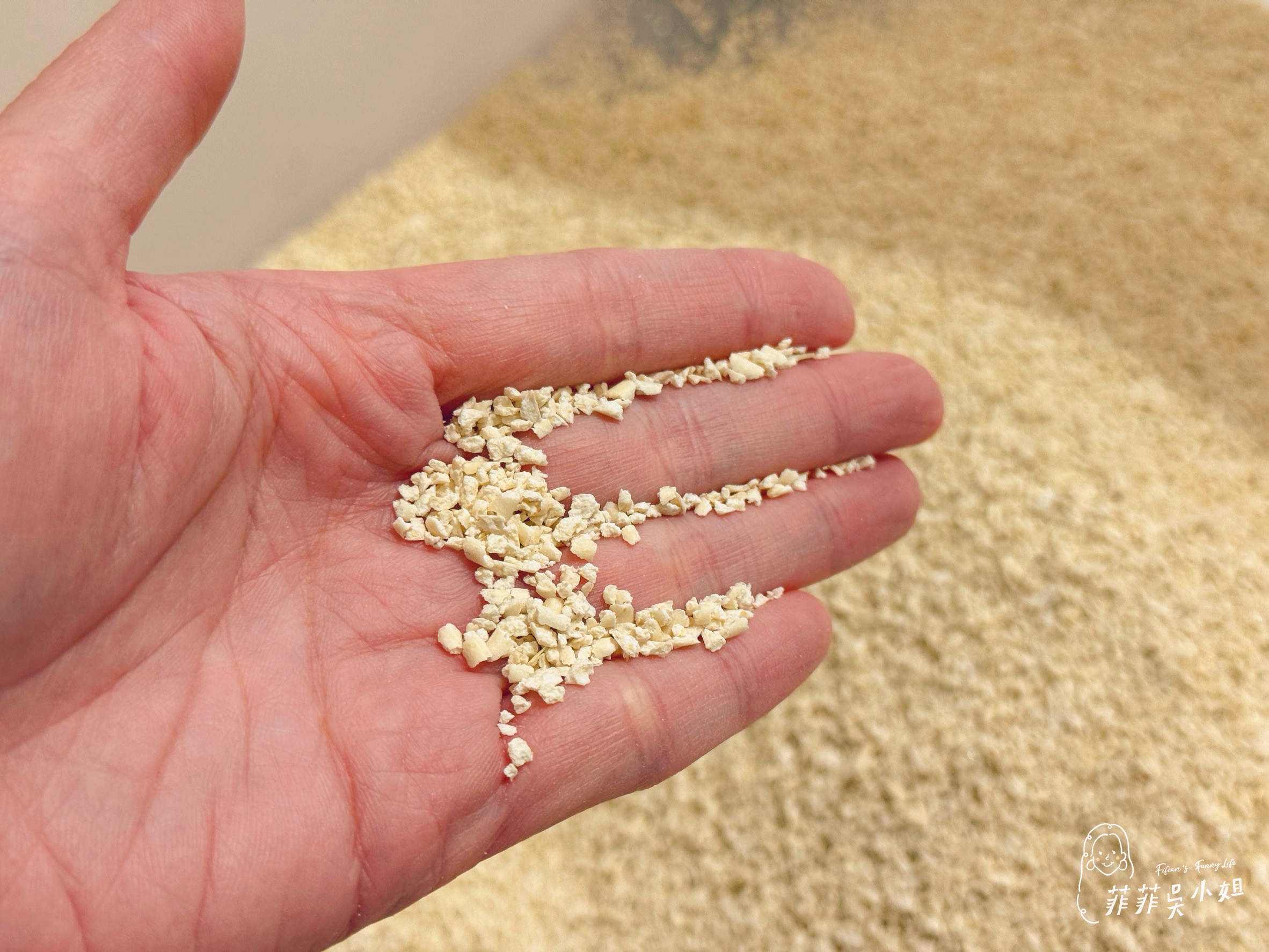 美國 Assin Anneil 安心豆腐砂，低粉塵高凝結力，貓砂寄倉服務一次到位 @菲菲吳小姐