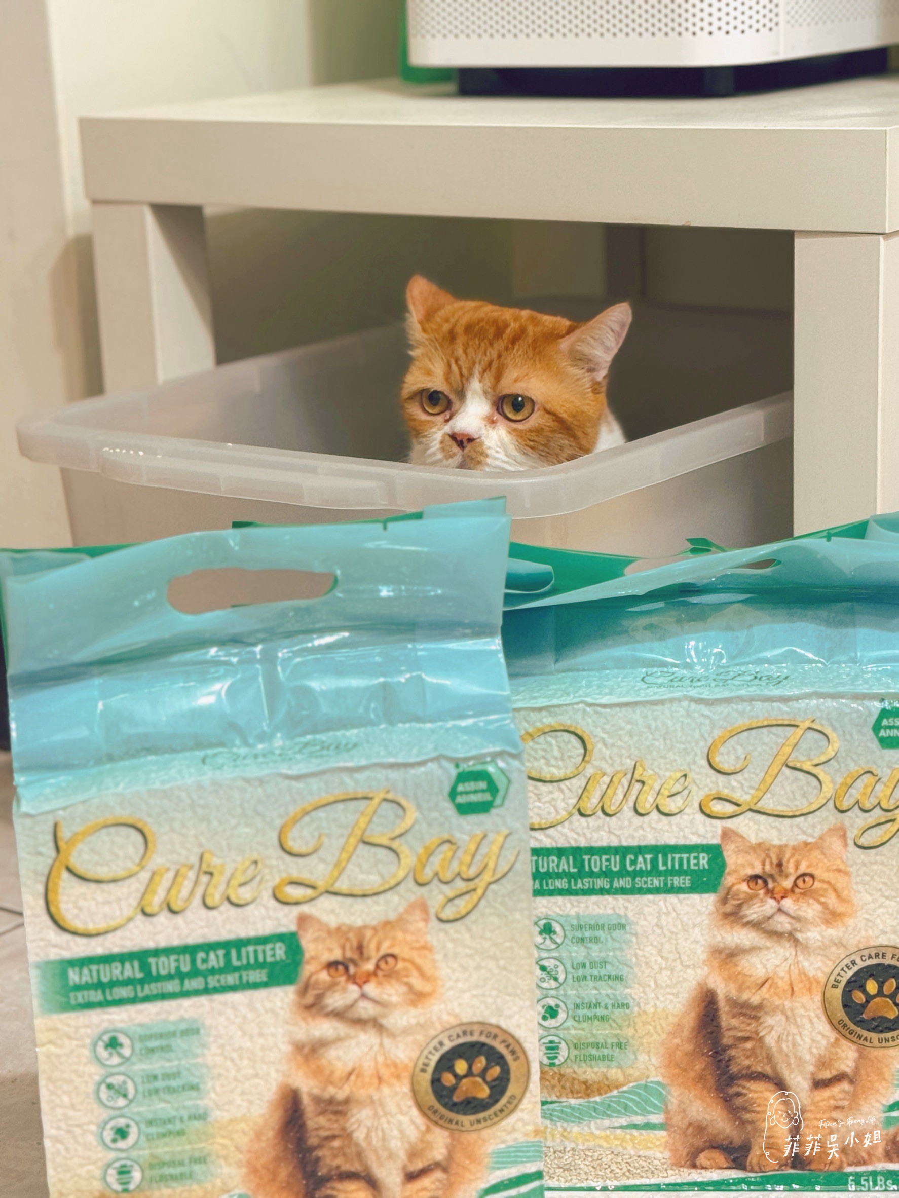 美國 Assin Anneil 安心豆腐砂，低粉塵高凝結力，貓砂寄倉服務一次到位 @菲菲吳小姐