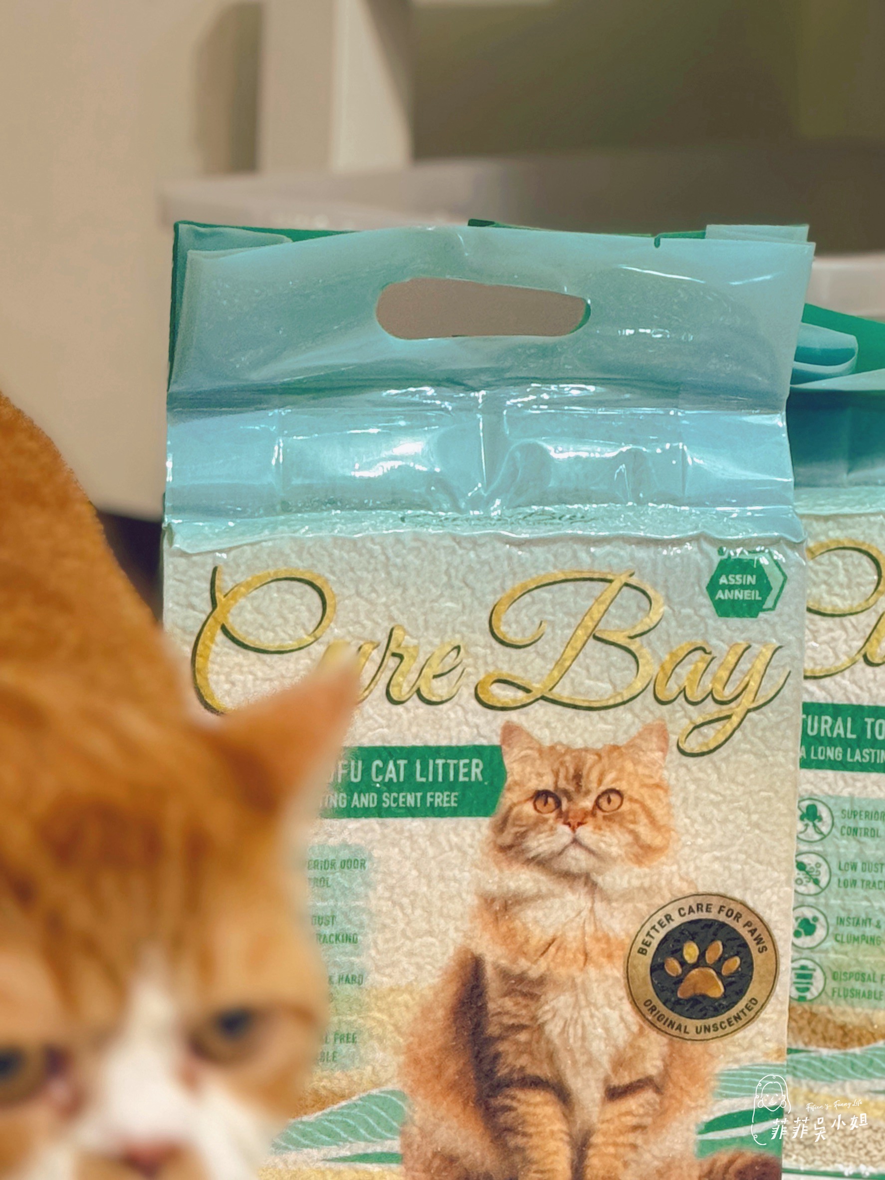 美國 Assin Anneil 安心豆腐砂，低粉塵高凝結力，貓砂寄倉服務一次到位 @菲菲吳小姐