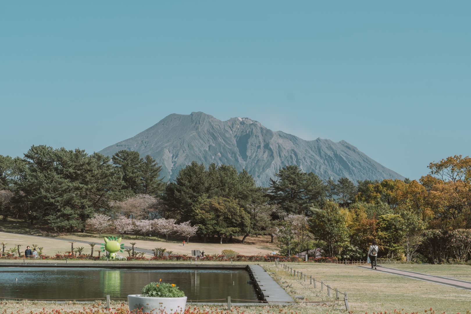 鹿兒島吉野公園，春季賞櫻聖地，眺望壯觀的櫻島火山 @菲菲吳小姐