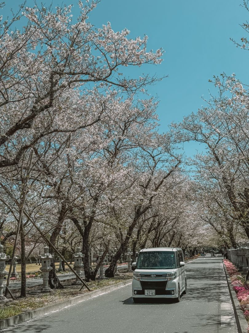 知覽武家屋敷，鹿兒島景點，7大庭園特色一次看懂 @菲菲吳小姐