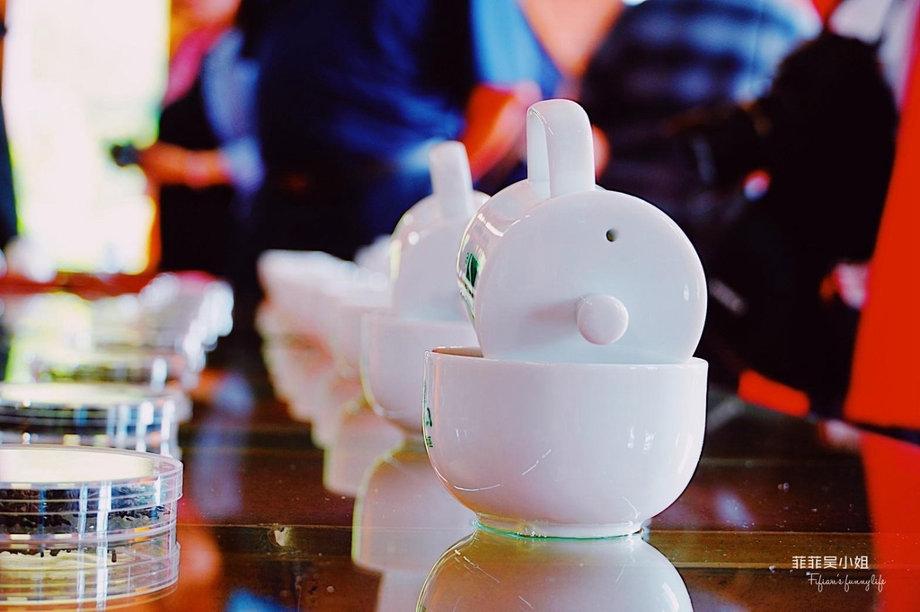 嘉義梅山旅遊，龍眼林茶工場，如何喝出冠軍茶的祕密？體驗比賽茶等級的評鑑方式 @菲菲吳小姐