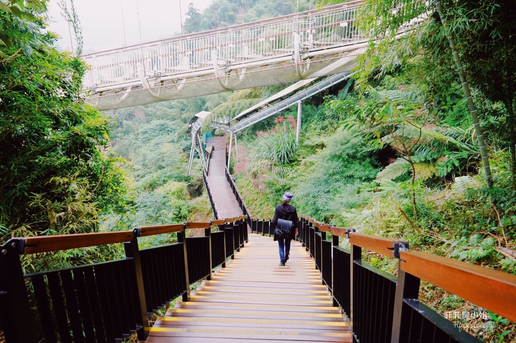 嘉義梅山天空步道，漫步太平雲梯，白天不同夜的美，全台最長景觀吊橋 @菲菲吳小姐