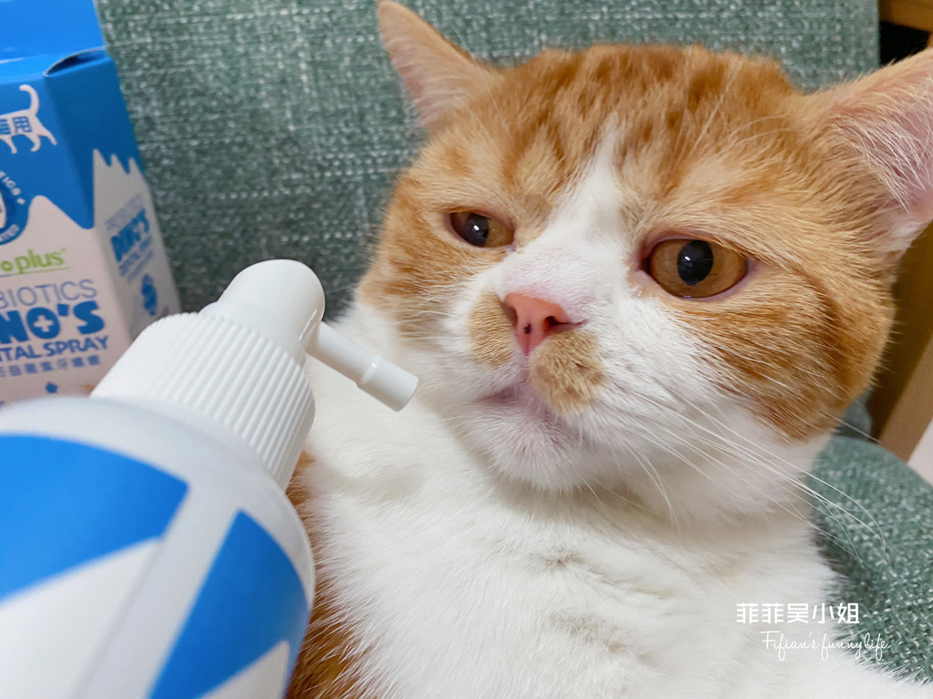 貓潔牙推薦，每天噴一下，貓咪牙垢口臭掰掰， IN-Plus好好益菌潔牙噴噴 @菲菲吳小姐