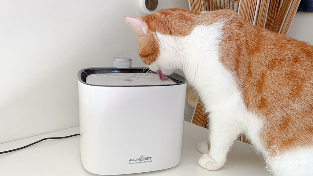| 貓咪飲水機 | ALNPET寵物智能偵測殺菌式飲水機，首創雙重滅菌技術，讓心愛毛孩安心喝好水 @菲菲吳小姐