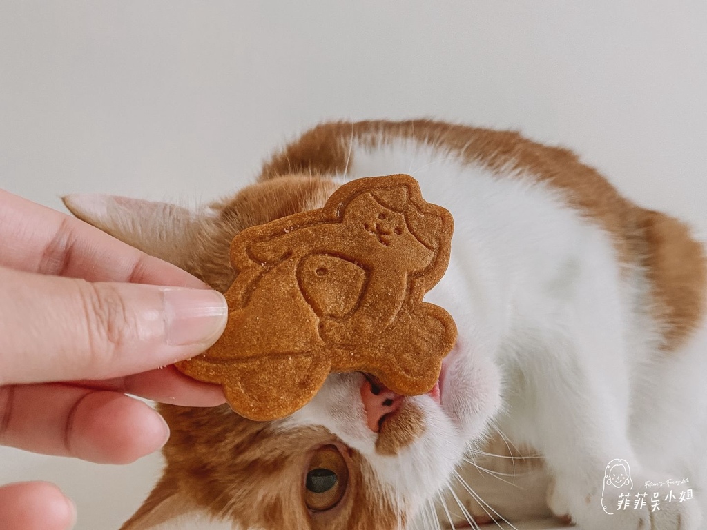 | 喜餅推薦 | 七見櫻堂 X 猫猫喵喵公益菓子舖，貓咪也可以吃的喜餅，助浪計劃猫猫公益禮盒系列－婚祝的貓 @菲菲吳小姐