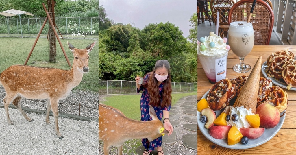 宜蘭冬山景點，斑比山丘梅花鹿園區，可愛小鹿水豚療癒互動，宜蘭親子農場 @菲菲吳小姐