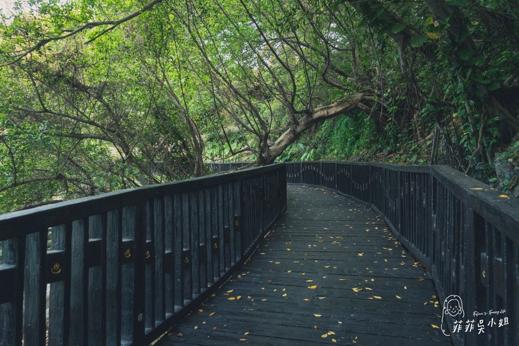 北投地熱谷公園，台北免費景點，全新360度環湖步道，必逛10大特色景點，享受天然溫泉蒸氣SPA @菲菲吳小姐